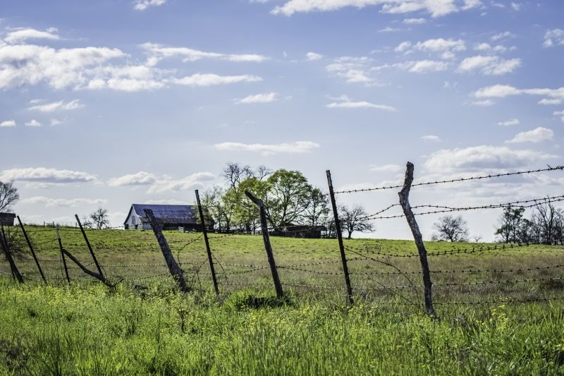 Cattle Fence Repair detail